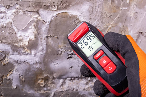 Best Industrial Mold Remediation in Elizabethville, PA